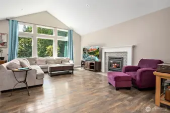 Vaulted ceilings, view windows & wood fireplace