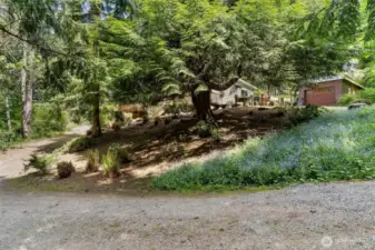 Lot is a fantastic park-like natural habitat.