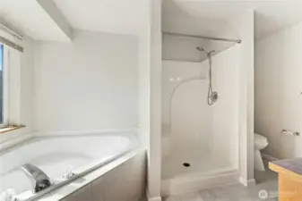 Primary bathroom