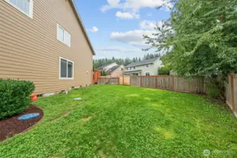 Another view of the side yard~