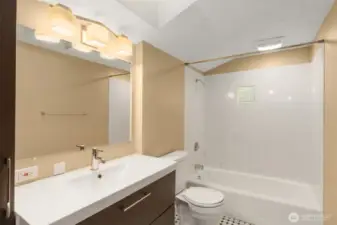 Main level bathroom with skylight