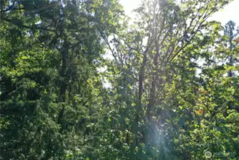 From inside property