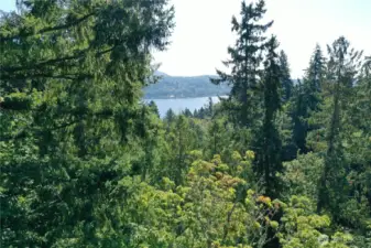 Possible Peak of Lake from top of property