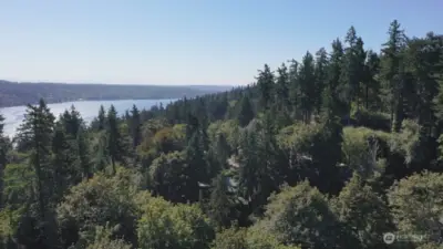 Possible Peak of Lake from top of property