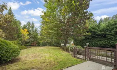 Oversized Lot, Fully Fenced