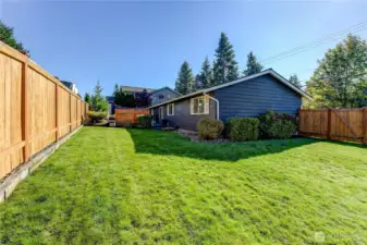 Large side yard to play