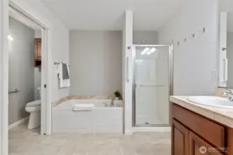 Primary bathroom