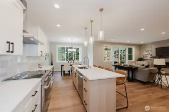 Kitchen Dining & Living room Open Concept