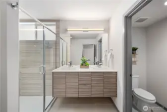 MASSIVE primary bathroom suite with walk-in shower, double vanity, storage closet and separate toilet area