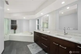 Primary spa-like bath.