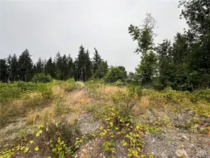View to the N from the ridgetop.