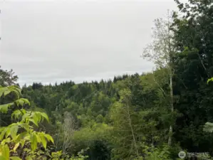 View from the ridgetop to the NW.