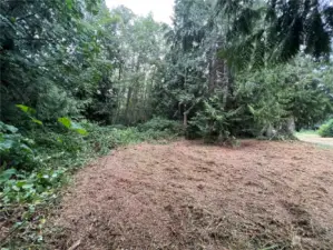 Open area with alder forest to the East. Neighboring well for reference & underground power, just across the road.