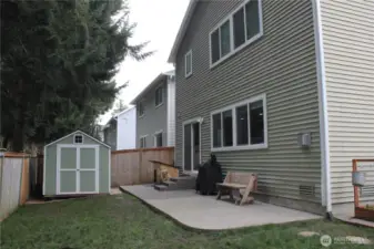 Back yard