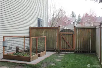 Gate to back yard