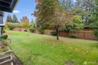 Your expansive backyard- rarely used by anyone else.