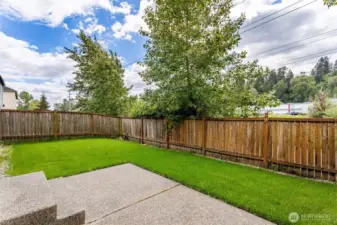 Rear Yard