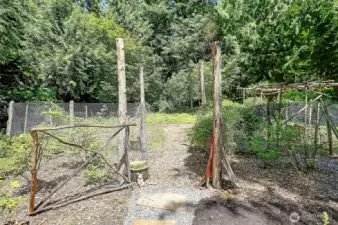 Fenced garden area.