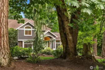 Home is set back from the road down a private drive for extra privacy. It's so peaceful, you can forget about your troubles when you are here.