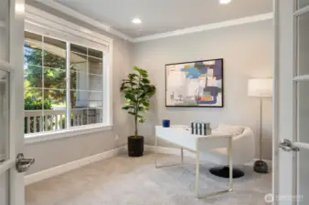 Guest bedroom or home office on main, with glass pane French doors and adjacent 3/4 bathroom with shower.