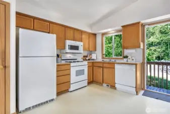Kitchen has back door to private back yard.