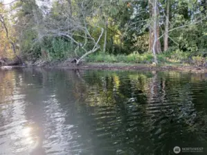 This is the actual shoreline of the Property, which sits in a little cove that opens into the lake