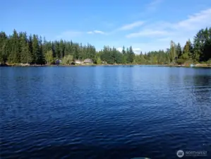 Lake life