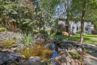 Custom built koi pond with waterfall
