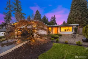 Updated backyard: Pressure cleaning on the hard-scapes, new sod, new plantings, new fence.  Landscape lighting too!