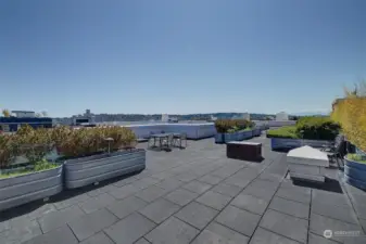 Community rooftop deck with views of the Olympics and Lake Union.