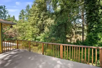 Back deck offers privacy and shade