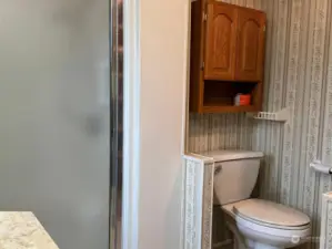 Walk in shower and storage in front of toilet