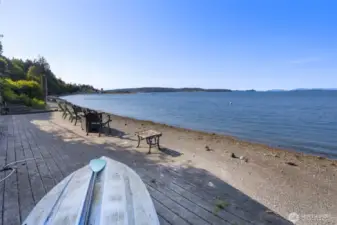 Crab, Fish, Clams, Paddle or Just Unwind~