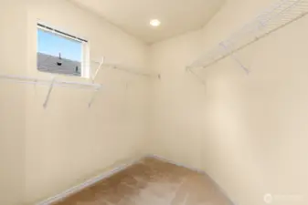 Primary Bedroom Suite - Walk-In Closet