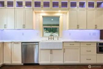 Quartz counters and hand made cabinets sprayed in place.