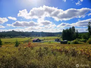 Your home was built on the choicest spot of the original 600+ acres the once was part of this homestead. Today, you'll be glad you don't have nearly so much to take care of and the 7.85 acres gives you almost limitless possibilities.