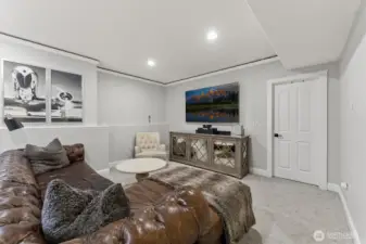 Basement living room