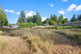 Another look at the south side of this parcel.