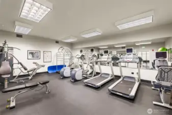 Gym - quality facility for the owners