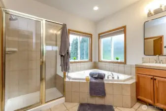 Primary bath with jacuzzi tub and tiled shower.