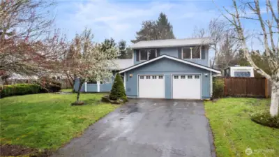 Front yard with flowering cherry trees.