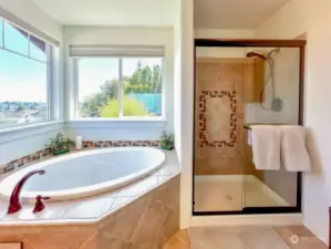 Primary bath offers with light and privacy