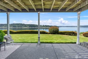 Cormorant passage right outside your back door!