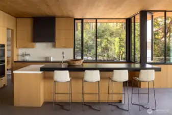 Full Chef's Kitchen made for entertaining or simply serving breakfast at the bar