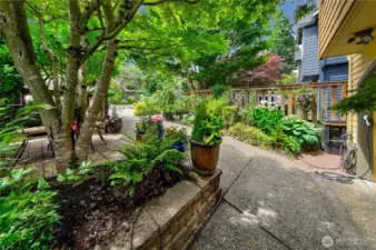Front driveway and garden area