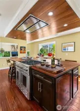 6 burner BlueStar range with 1,200 CFM exhaust hood