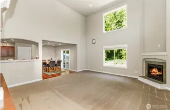 propane fireplace