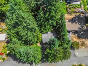 Enjoy serene views of the surrounding trees, offering a sense of seclusion and natural privacy.