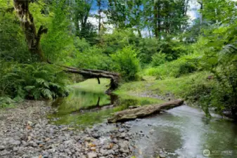 Creek and island