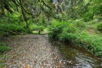 Beautiful pebbles along the creek